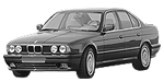 BMW E34 P3172 Fault Code