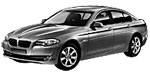 BMW F10 P3172 Fault Code